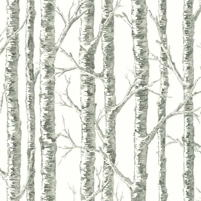 York Wallcoverings Paper Birch White & Grey Wallpaper - SKU BW3901