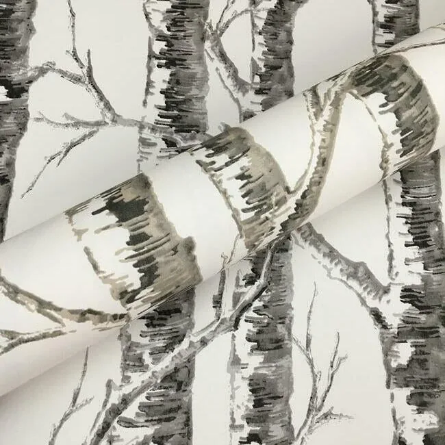 York Wallcoverings Paper Birch White & Grey Wallpaper - SKU BW3901