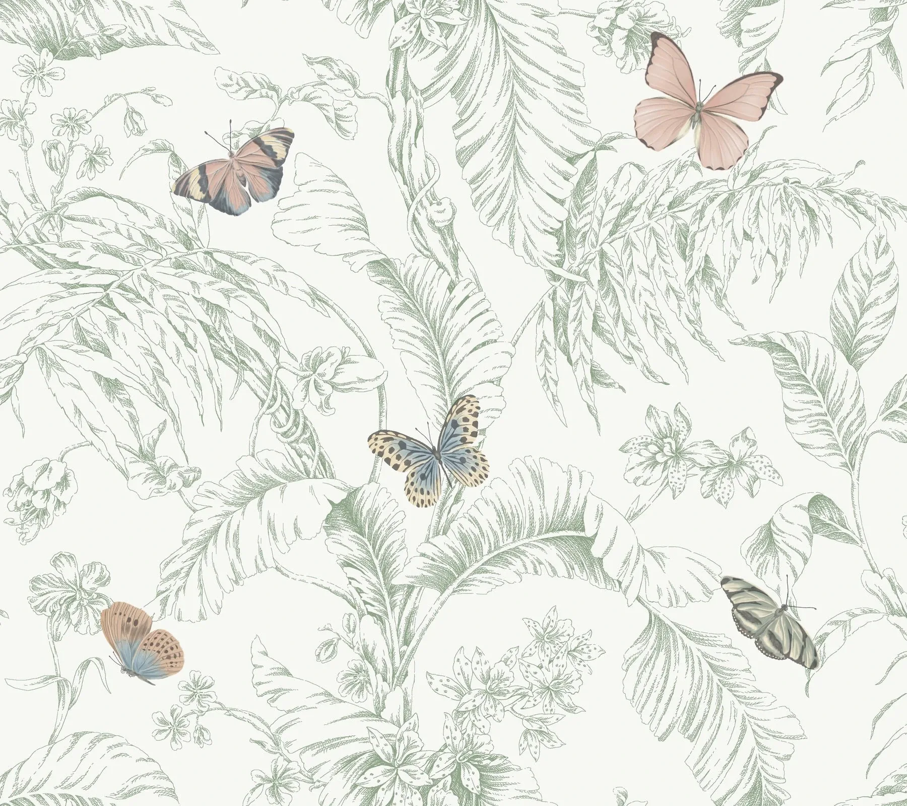 RT7930 | Papillon Blush Wallpaper