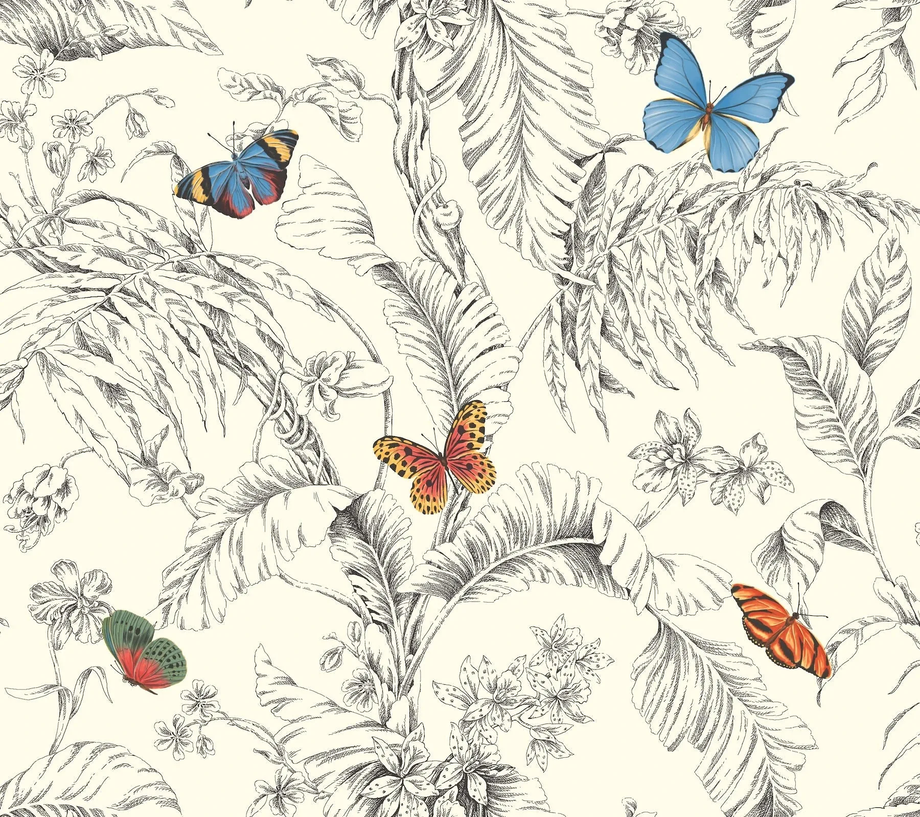York Wallcoverings Papillon Primary Wallpaper - SKU AF2025