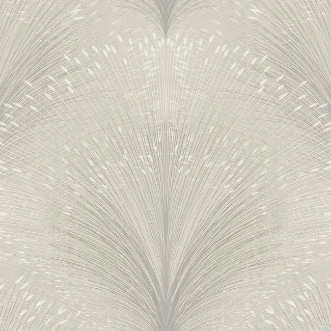 OI0684 | Papyrus Plume Grey Wallpaper