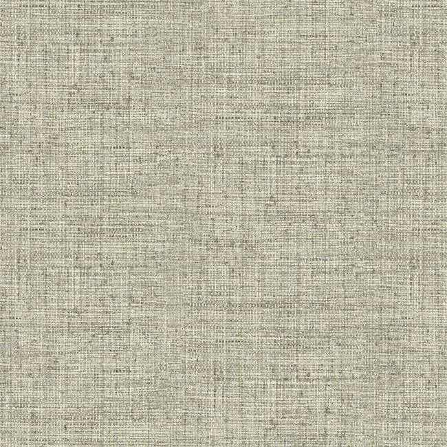 CY1557 | Papyrus Weave Beige Wallpaper