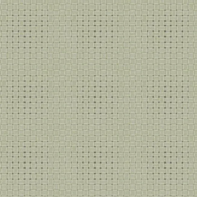 TC2613 | Paradise Island Weave Green Wallpaper