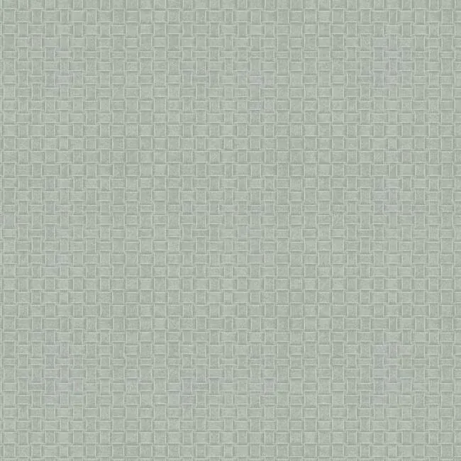 TC2615 | Paradise Island Weave Grey Wallpaper