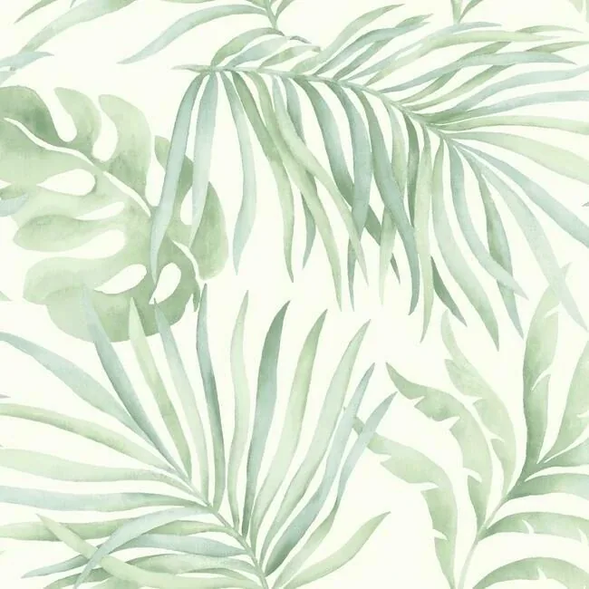 SO2452 | Paradise Palm Light Green Wallpaper