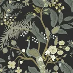 York Wallcoverings Peacock Black Wallpaper - SKU RI5170