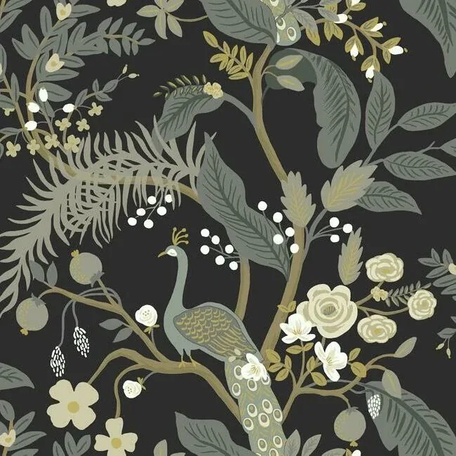RI5170 | Peacock Black Wallpaper