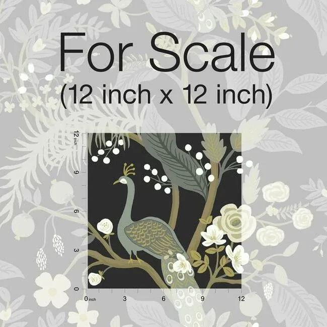 York Wallcoverings Peacock Black Wallpaper - SKU RI5170