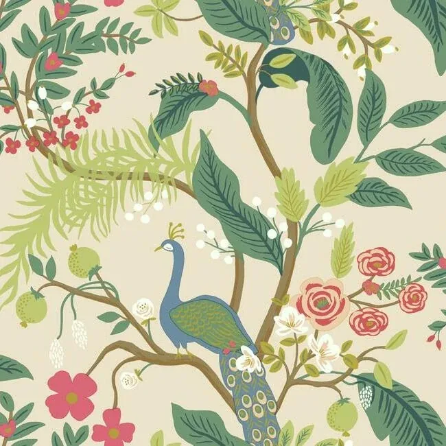 RI5169 | Peacock Light Pink Wallpaper