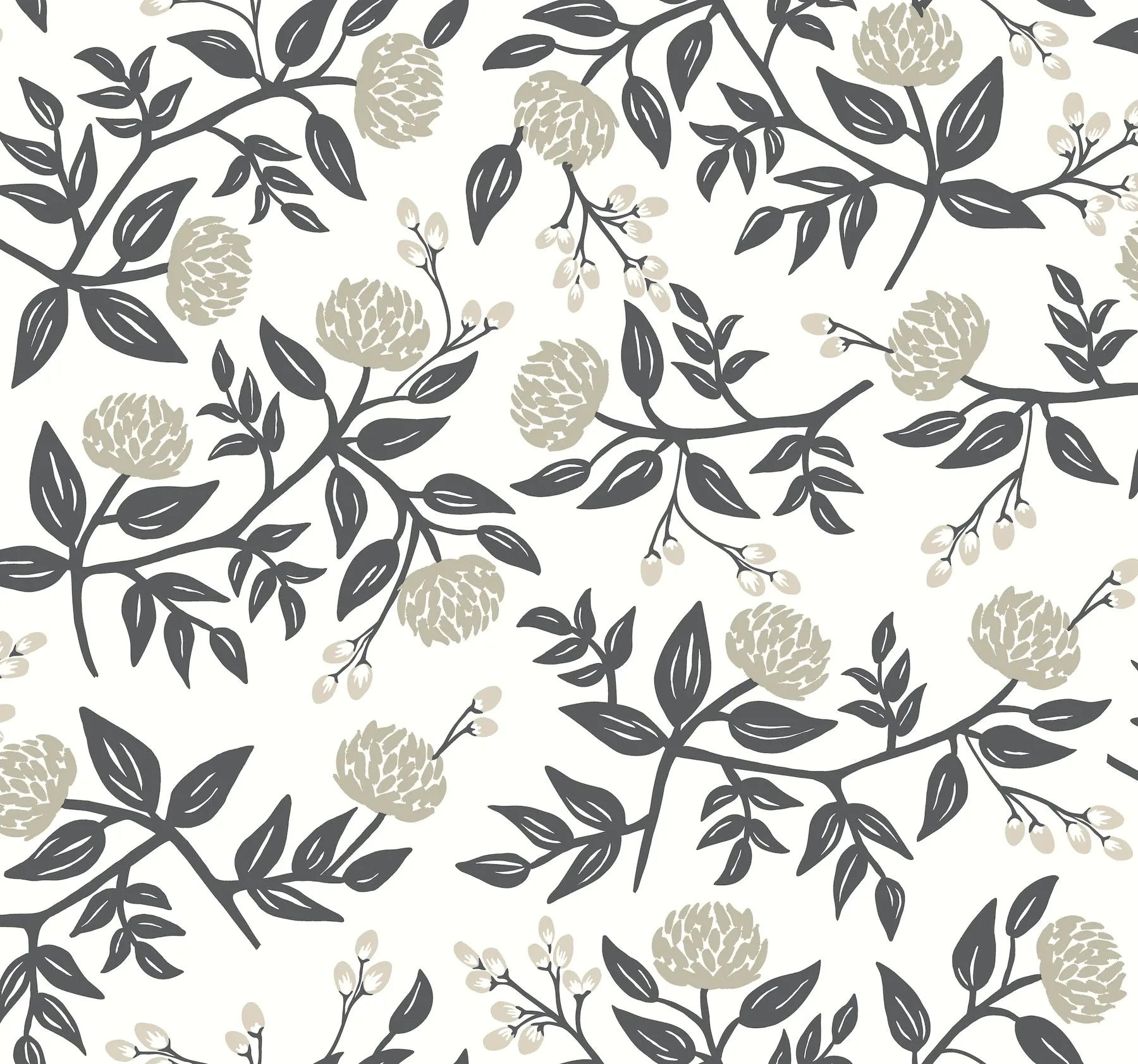 York Wallcoverings Peonies White & Black Wallpaper - SKU RI5150