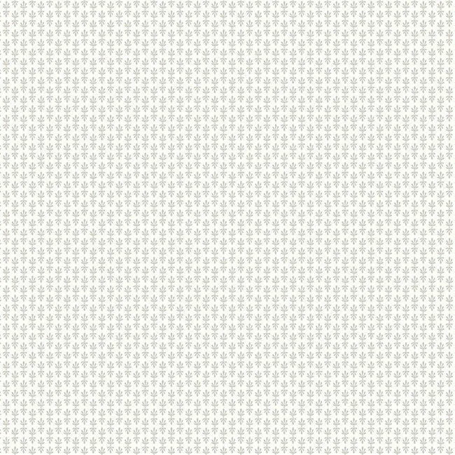 RP7361 | Petal White Wallpaper