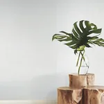 York Wallcoverings Plain Grass White Wallpaper - SKU VG0000