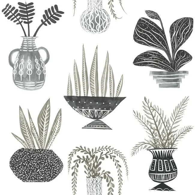 York Wallcoverings Plant Party Black Peel & Stick Wallpaper - SKU PSW1251RL