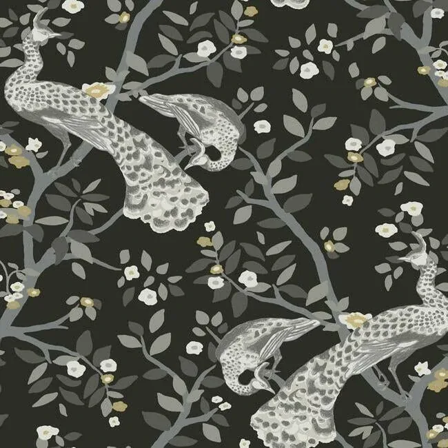York Wallcoverings Plume Black & Gold Wallpaper - SKU BW3802