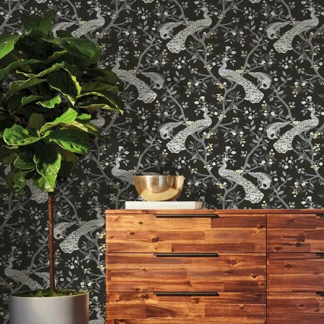 York Wallcoverings Plume Black & Gold Wallpaper | Wallpaper Twins York Wallcoverings Plume Black & Gold Wallpaper - SKU BW3802