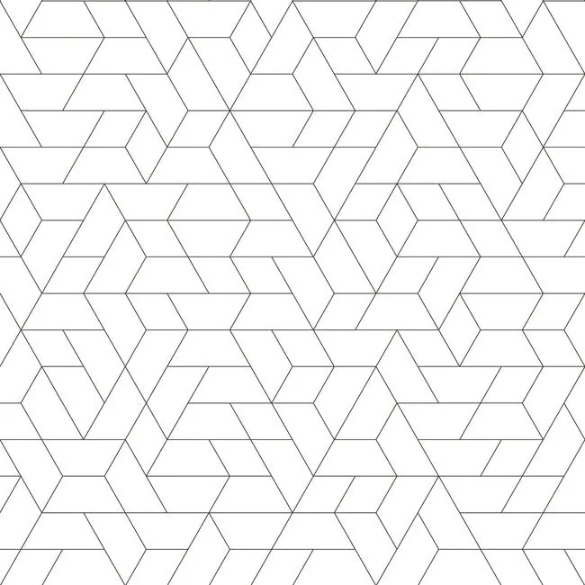 York Wallcoverings Point of View Black Wallpaper - SKU SW7457