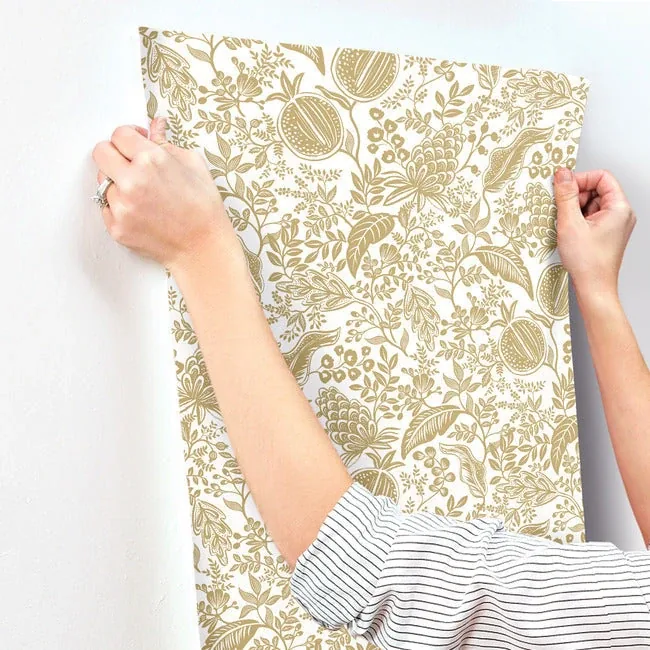 York Wallcoverings Pomegranate White Wallpaper - SKU RP7391