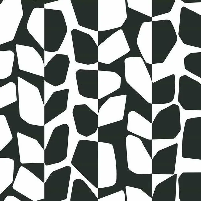 BW3893 | Primitive Vines Black & White Wallpaper
