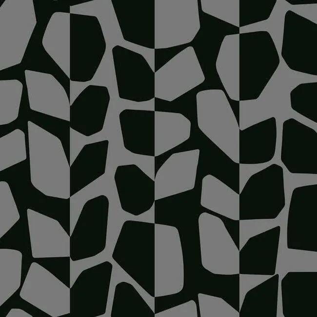 BW3894 | Primitive Vines Black Metallic Wallpaper