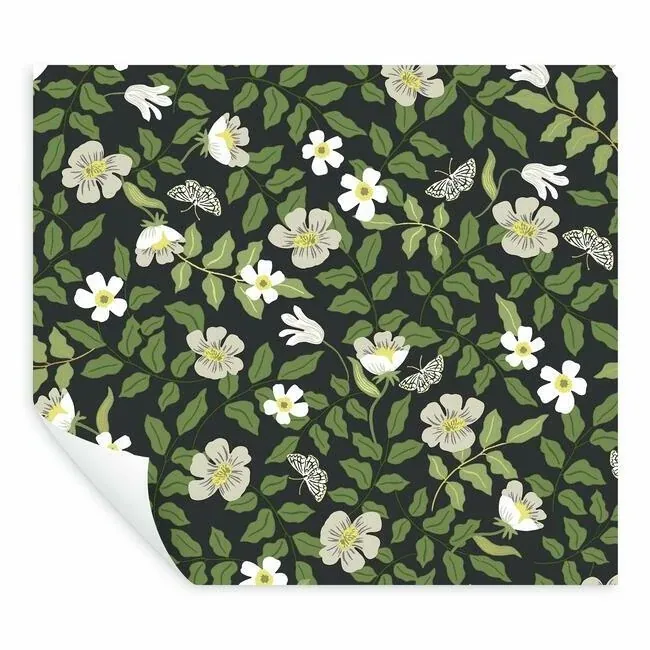 York Wallcoverings Primrose Off White & Black Peel & Stick Wallpaper | Wallpaper Twins York Wallcoverings Primrose Off White & Black Peel & Stick Wallpaper - SKU PSW1315RL