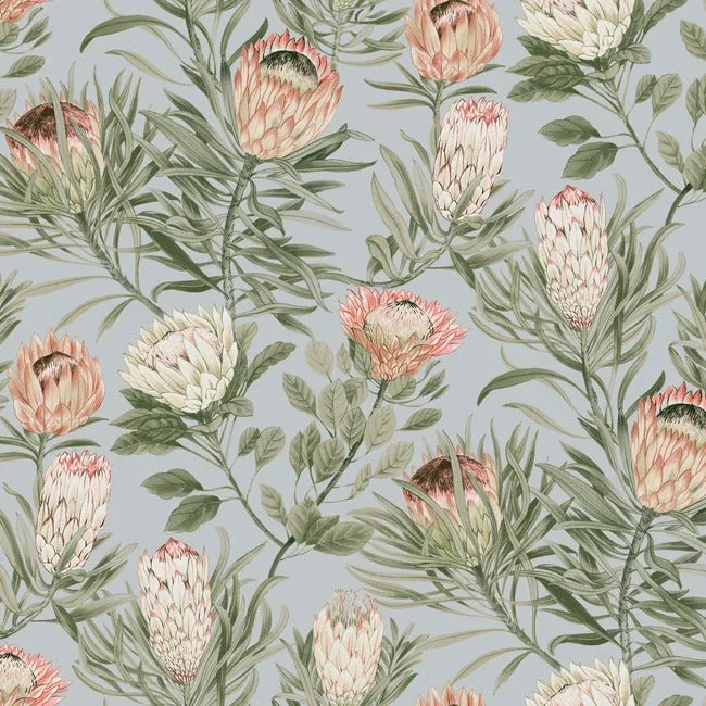 York Wallcoverings Protea Dusty Blue & Coral Wallpaper - SKU BL1755