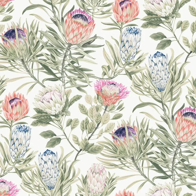 York Wallcoverings Protea White & Fuchsia Wallpaper - SKU BL1752