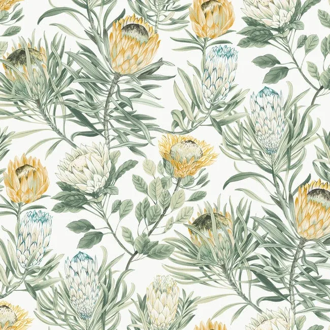 York Wallcoverings Protea White & Yellow Wallpaper - SKU BL1754