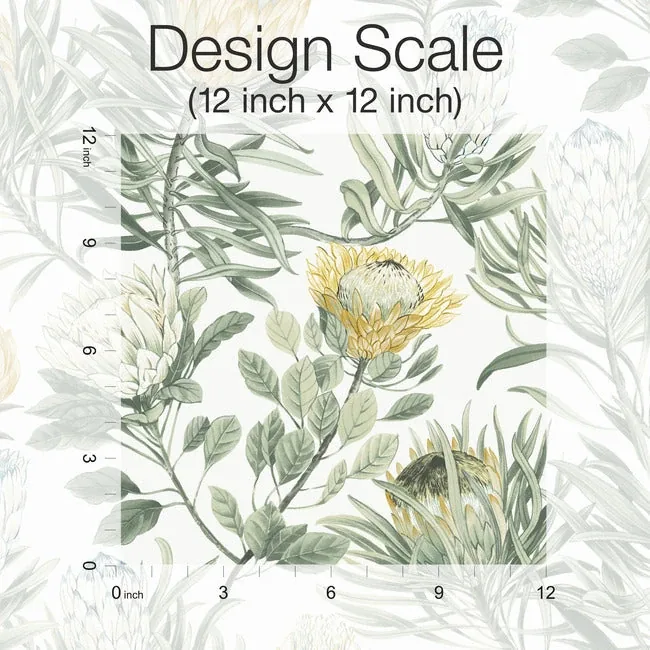 York Wallcoverings Protea White & Yellow Wallpaper - SKU BL1754