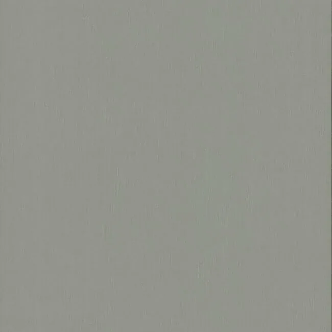 DA3544N | Radiant Juniper Dark Grey Wallpaper