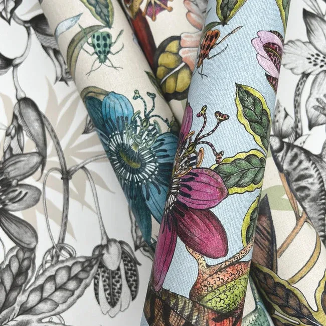 York Wallcoverings Rainforest Multicolor Wallpaper - SKU BL1701