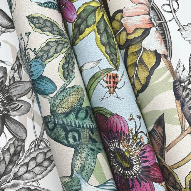 York Wallcoverings Rainforest Multicolor Wallpaper | Wallpaper Twins York Wallcoverings Rainforest Multicolor Wallpaper - SKU BL1701