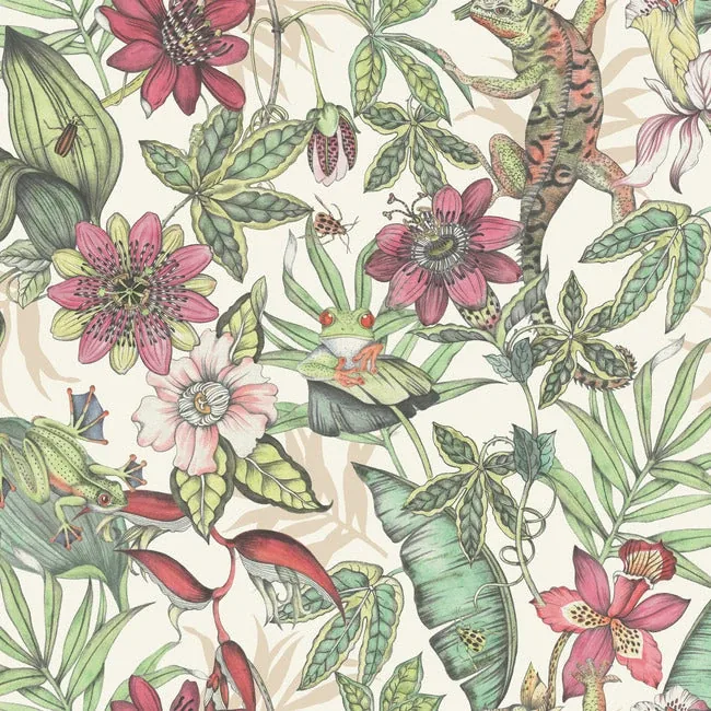 York Wallcoverings Rainforest Multicolor Wallpaper - SKU BL1702