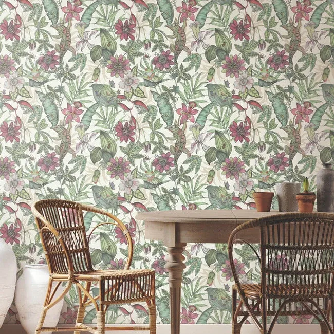 York Wallcoverings Rainforest Multicolor Wallpaper | Wallpaper Twins York Wallcoverings Rainforest Multicolor Wallpaper - SKU BL1702