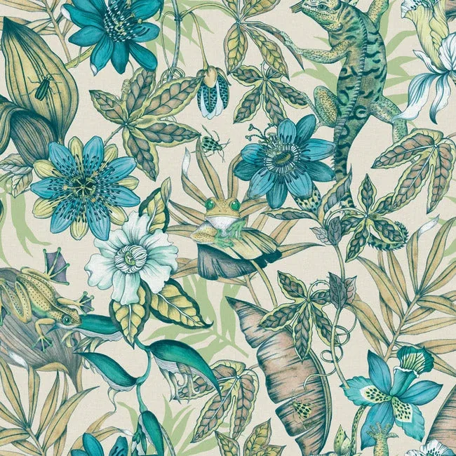 York Wallcoverings Rainforest Multicolor Wallpaper - SKU BL1705