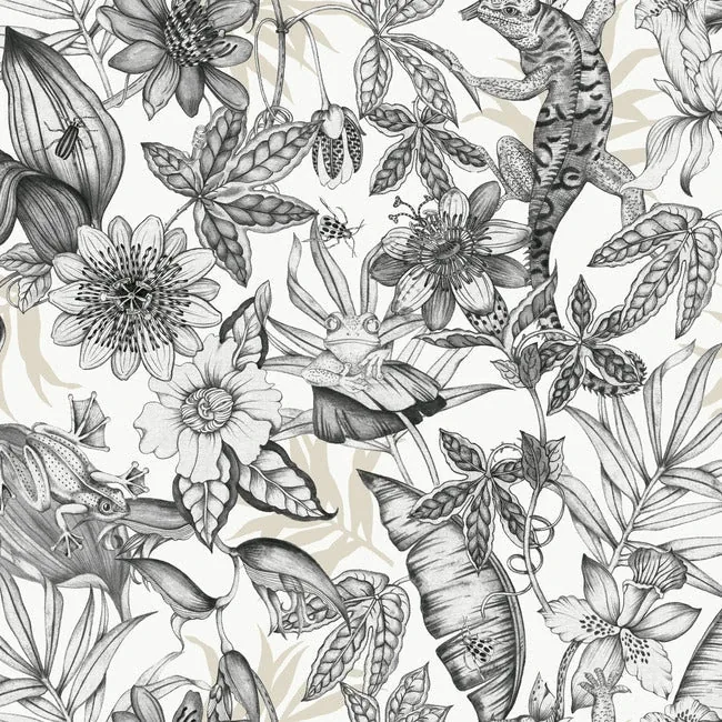 York Wallcoverings Rainforest White & Charcoal Wallpaper - SKU BL1703