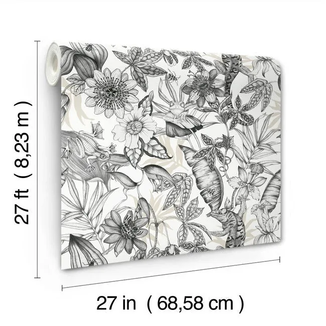 York Wallcoverings Rainforest White & Charcoal Wallpaper - SKU BL1703