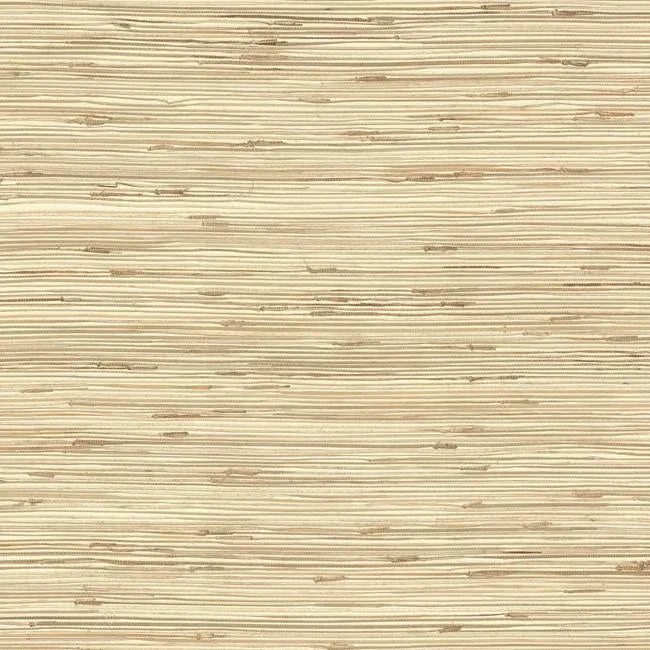 York Wallcoverings River Grass Beige Wallpaper - SKU NZ0781