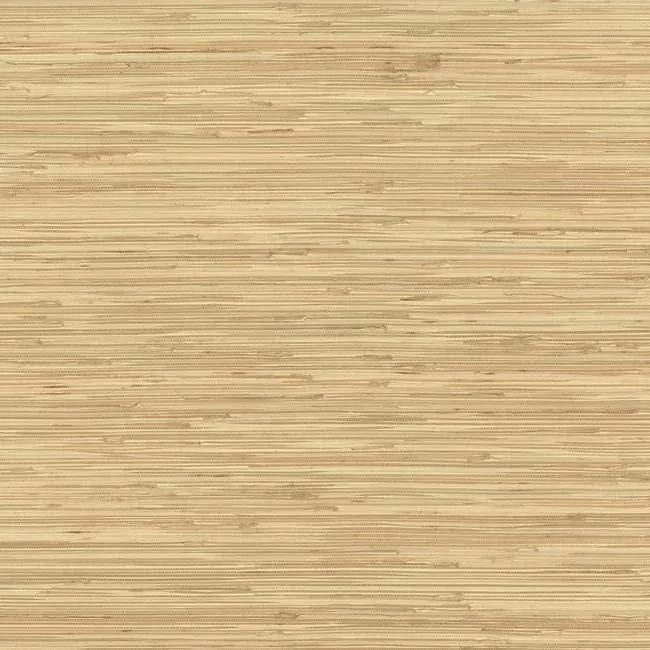 York Wallcoverings River Grass Beige Wallpaper - SKU NZ0787