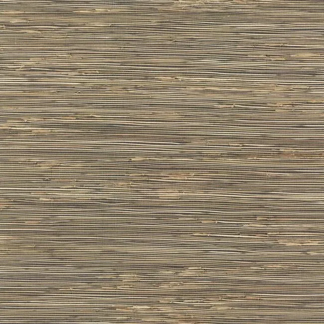 York Wallcoverings River Grass Black Wallpaper - SKU NZ0786