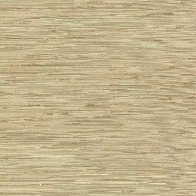 York Wallcoverings River Grass Green Wallpaper - SKU NZ0780