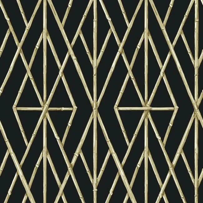 York Wallcoverings Riviera Bamboo Trellis Black Wallpaper - SKU CV4448