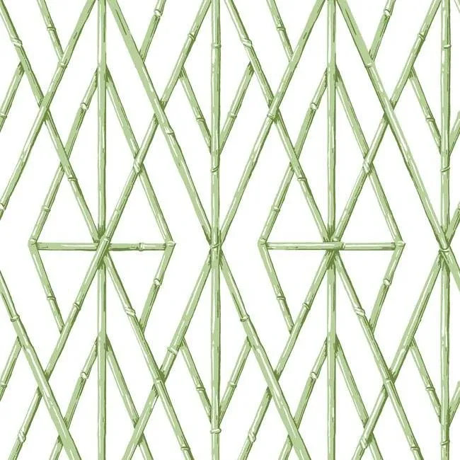 York Wallcoverings Riviera Bamboo Trellis Green Wallpaper - SKU CV4451