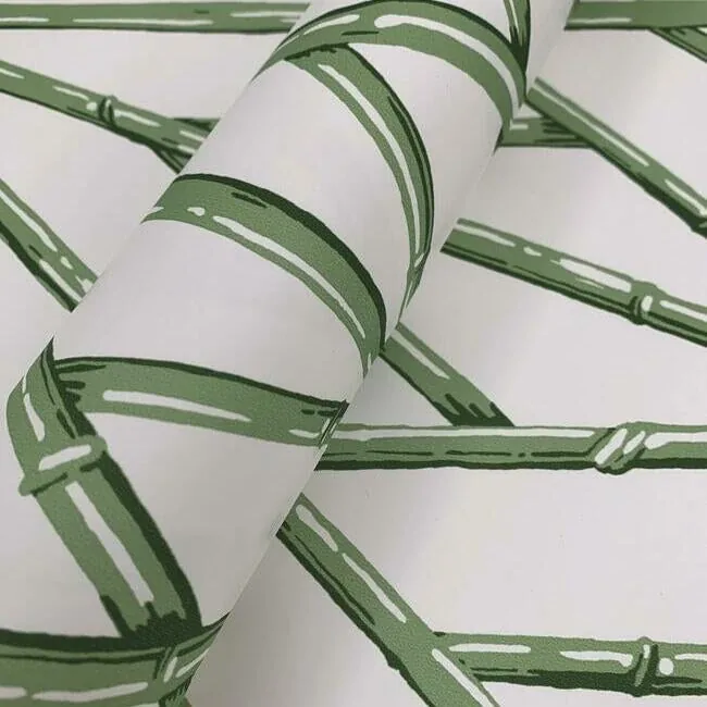 York Wallcoverings Riviera Bamboo Trellis Green Wallpaper - SKU CV4451