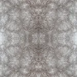 York Wallcoverings Rose Dapple Warm Grey Peel & Stick Wallpaper | Wallpaper Twins York Wallcoverings Rose Dapple Warm Grey Peel & Stick Wallpaper - SKU PSW1382RL