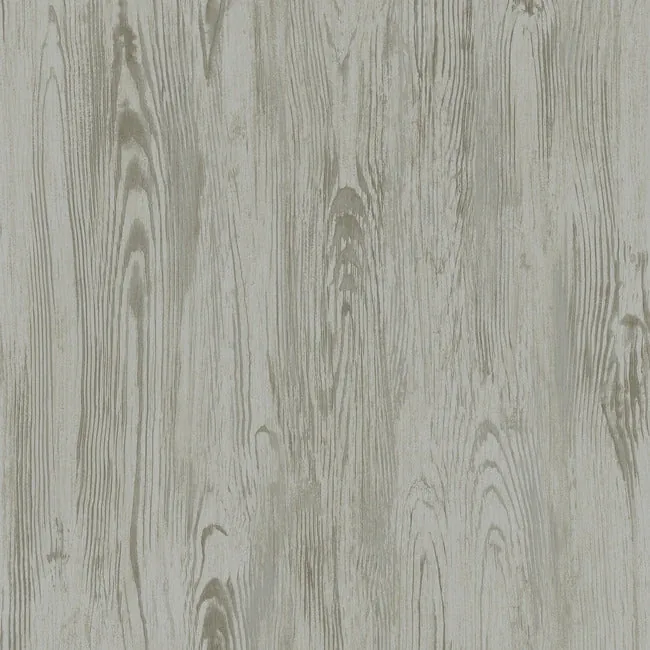 York Wallcoverings Rusticano Grey Wallpaper - SKU MN1953