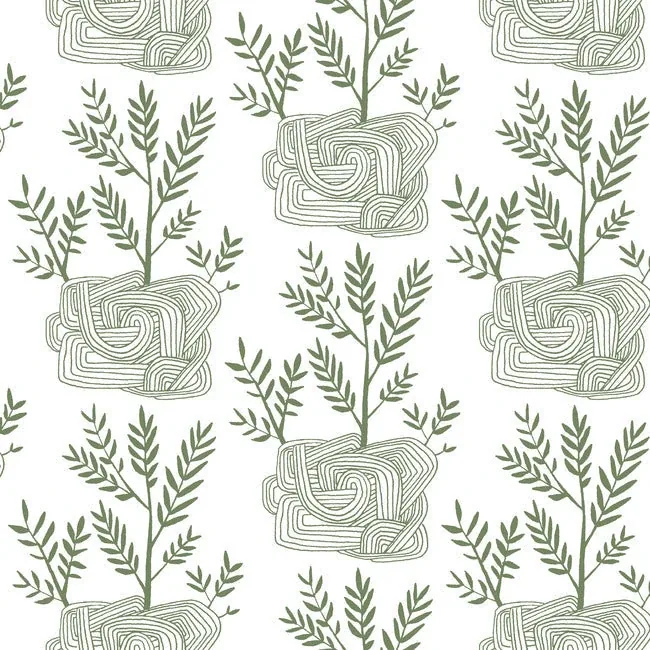 PSW1226RL | Seedlings Green Peel & Stick Wallpaper