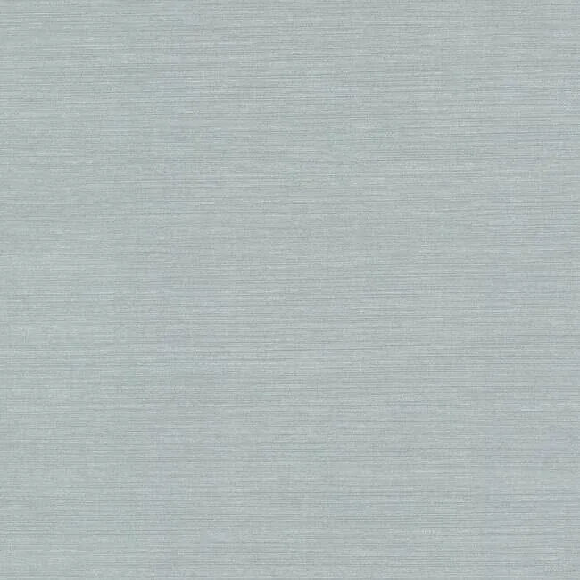 DD3734 | Shining Sisal Blue & Silver Wallpaper