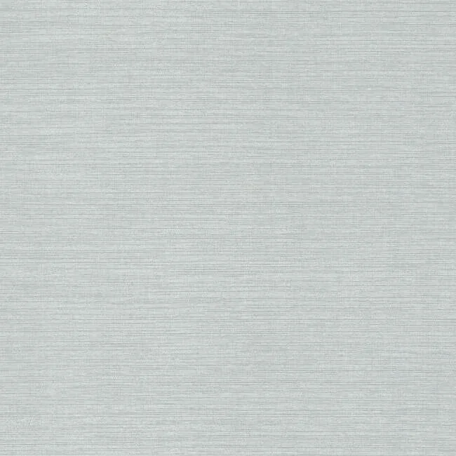 DD3731 | Shining Sisal Silver Metallic Wallpaper