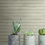 York Wallcoverings Skinnylap Grey & Brown Wallpaper - SKU MH1567