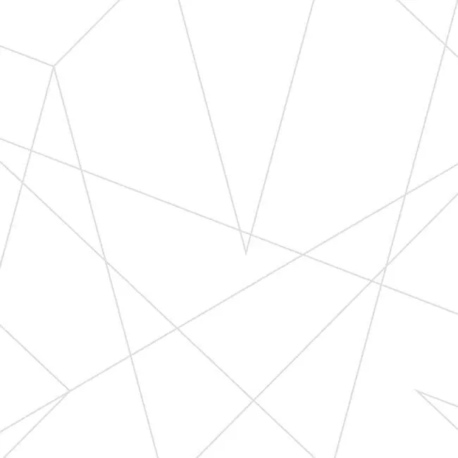 DI0941 | Spider-Man Fracture Grey Wallpaper